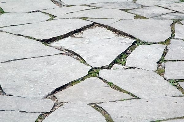 Slip, Trip and Fall Liability